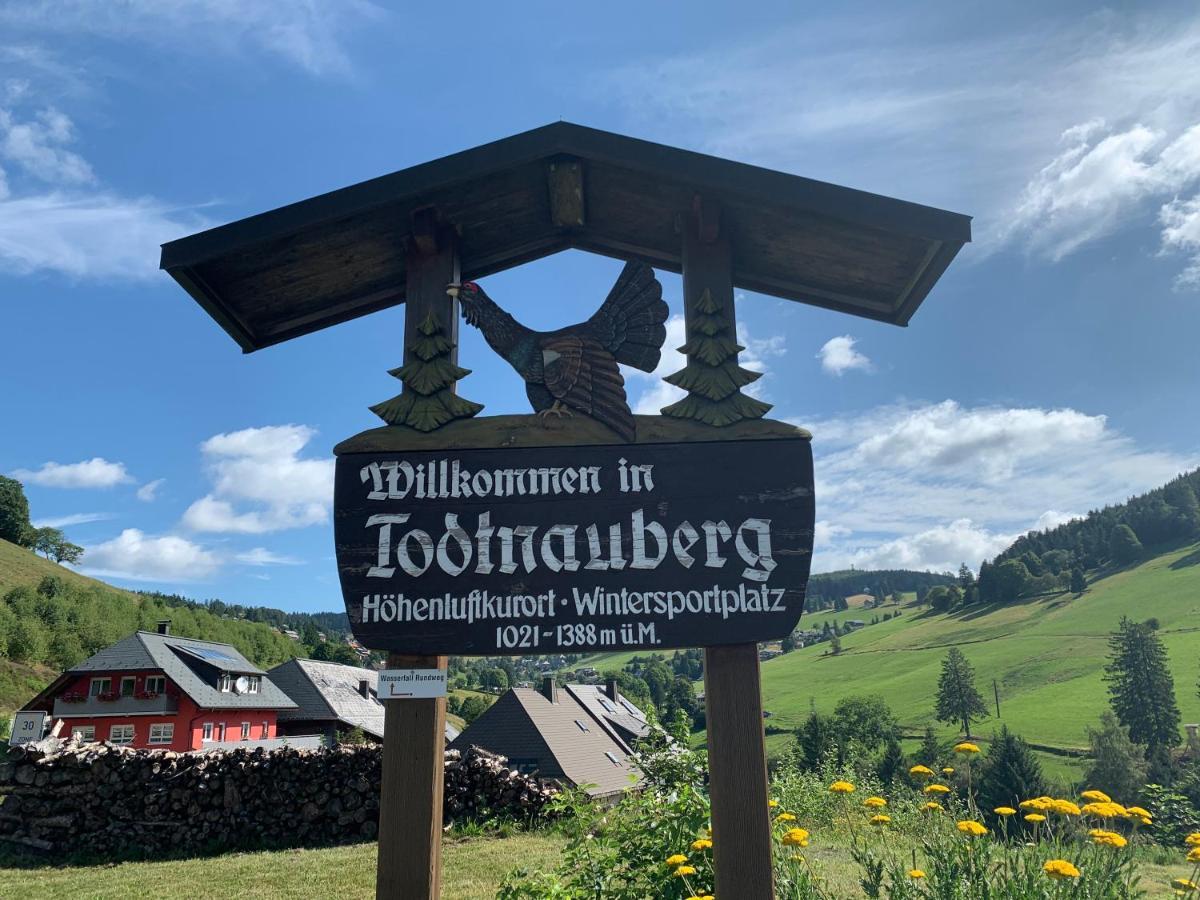 Residenz Schauinsland Todtnauberg - Fewo 17 - Sauna - Spielzimmer Fuer Kinder - Naehe Feldberg Buitenkant foto