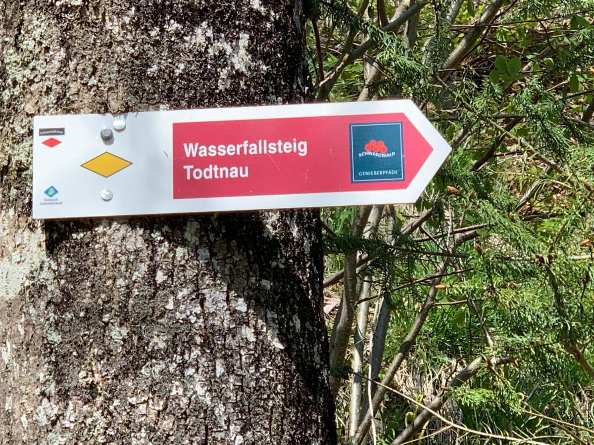 Residenz Schauinsland Todtnauberg - Fewo 17 - Sauna - Spielzimmer Fuer Kinder - Naehe Feldberg Buitenkant foto