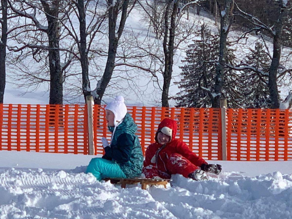 Residenz Schauinsland Todtnauberg - Fewo 17 - Sauna - Spielzimmer Fuer Kinder - Naehe Feldberg Buitenkant foto