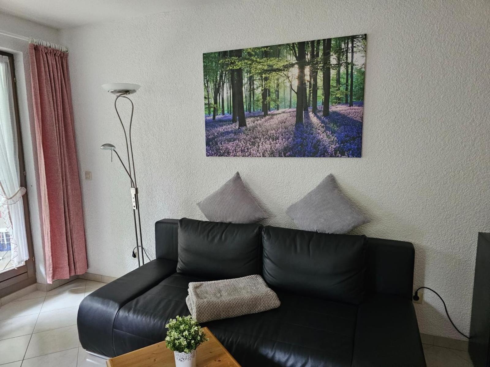 Residenz Schauinsland Todtnauberg - Fewo 17 - Sauna - Spielzimmer Fuer Kinder - Naehe Feldberg Buitenkant foto